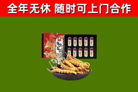西工区回收冬虫夏草价格